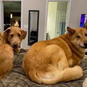 Meet your Posher, Vickie